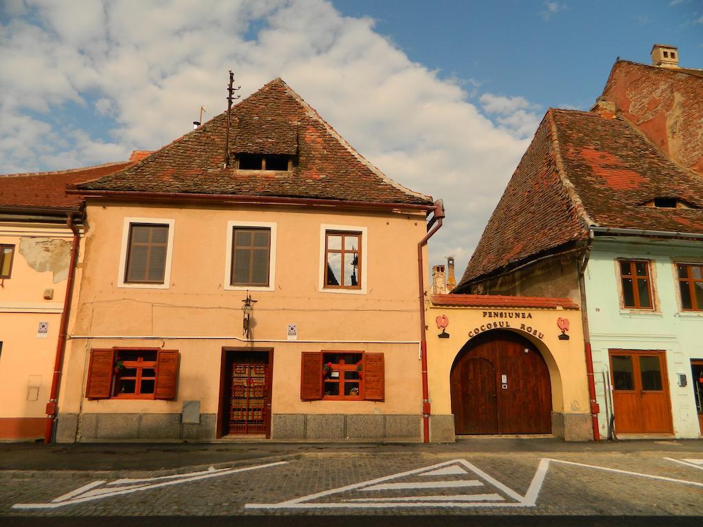 Pensiunea Cocosul Rosu Sibiu Exterior foto