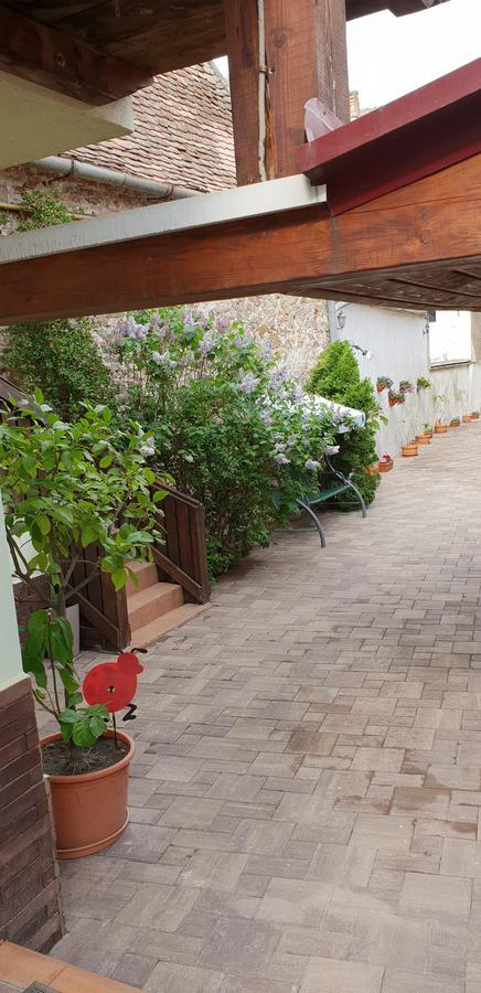 Pensiunea Cocosul Rosu Sibiu Exterior foto