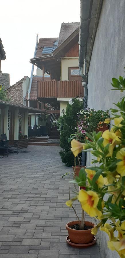 Pensiunea Cocosul Rosu Sibiu Exterior foto