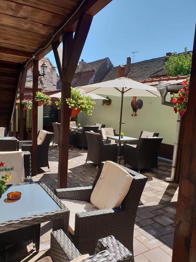 Pensiunea Cocosul Rosu Sibiu Exterior foto